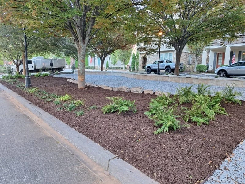 Planting