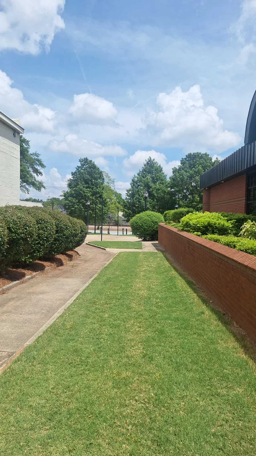 Lawn Maintenance — client-supplied photograph