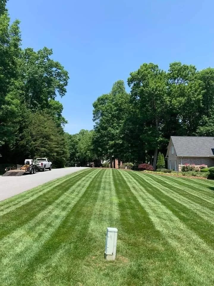 Lawn Maintenance